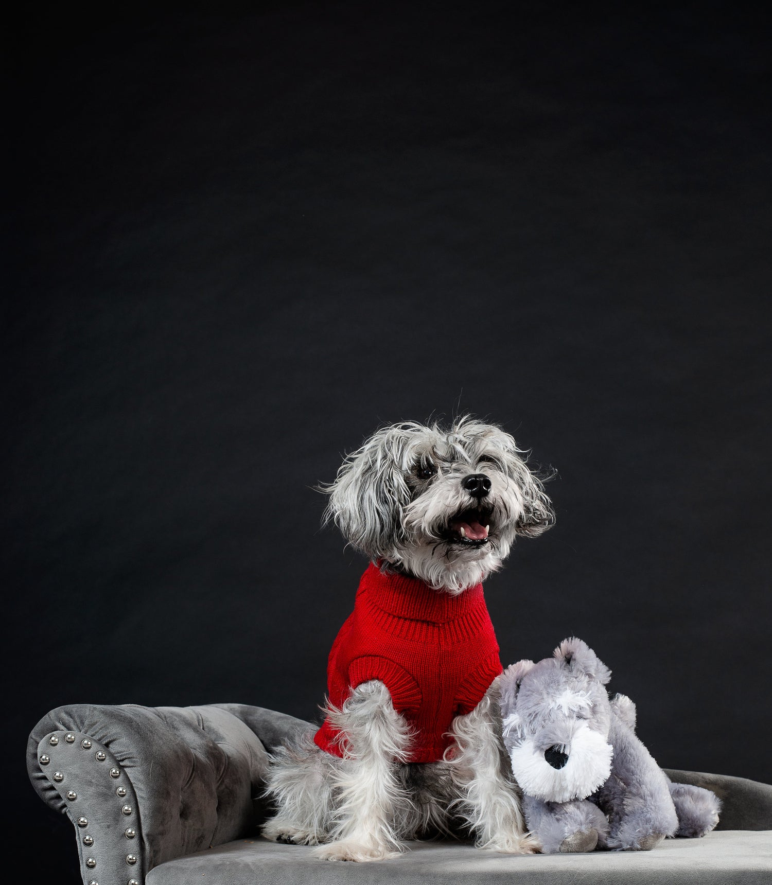 For dog